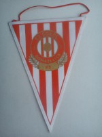 /album/domazelice/domazelice-tj-sokol-25-17-jpg/